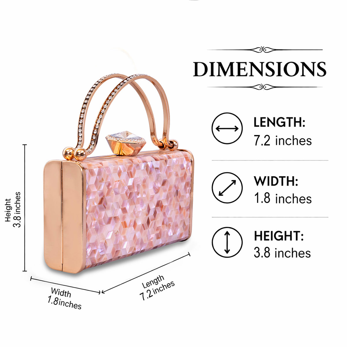 Unique Clutch Bag Mother of pearl. evening glam Accessory and Gold Chain