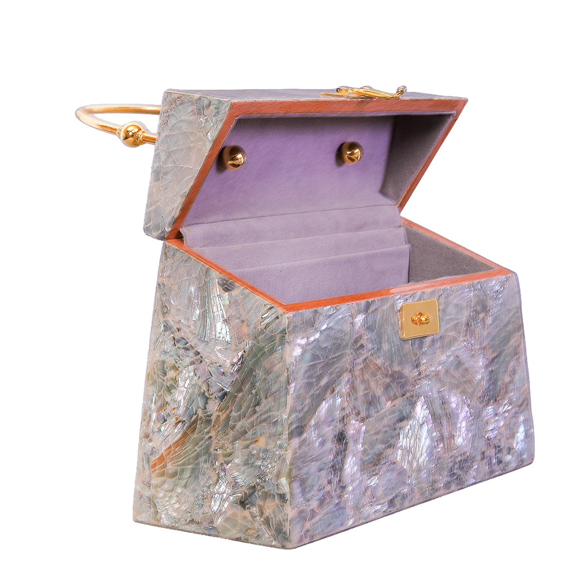 vintage Handbag in real Mother of Pearl